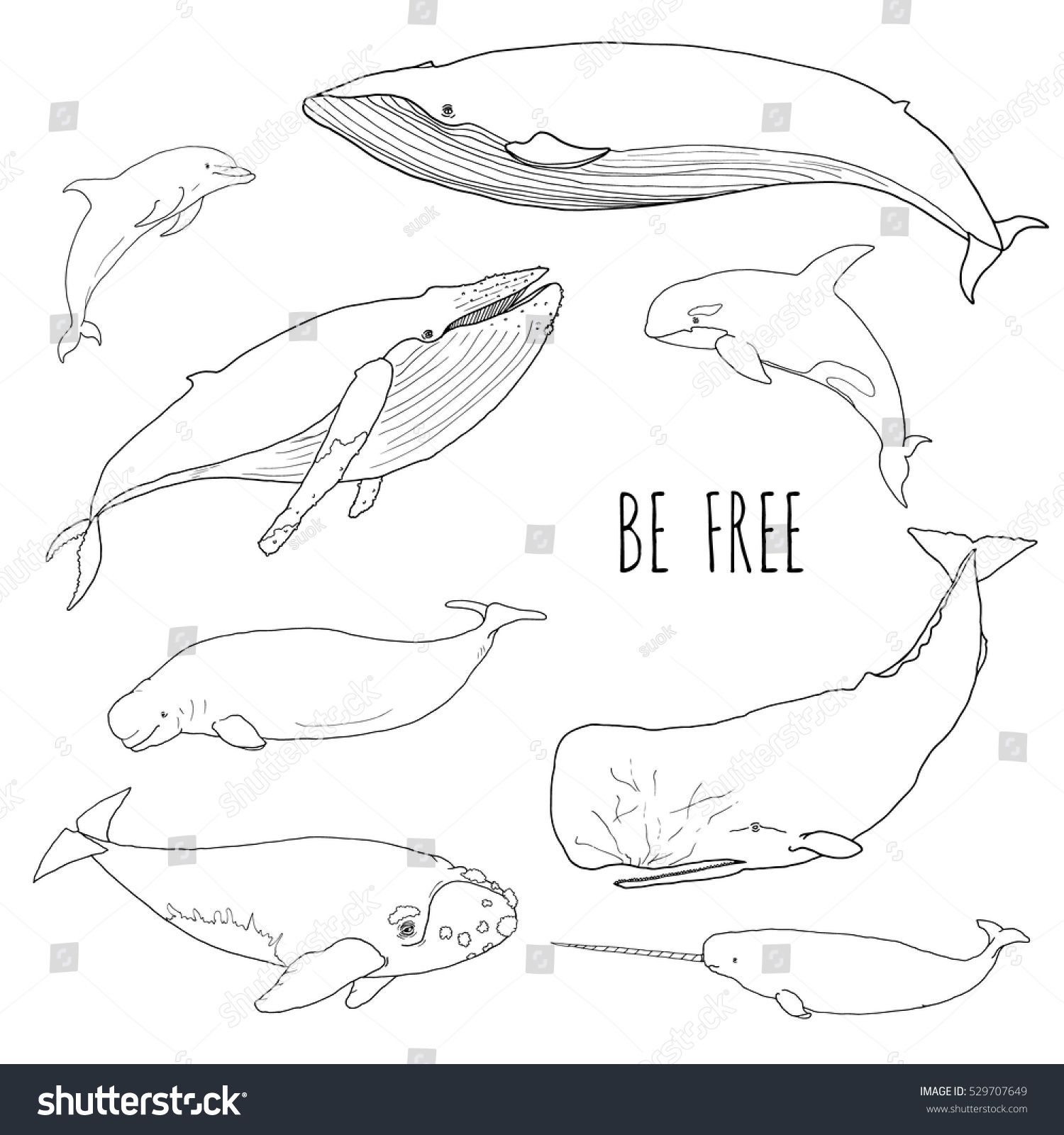 tattoo dolphin ideas 0090