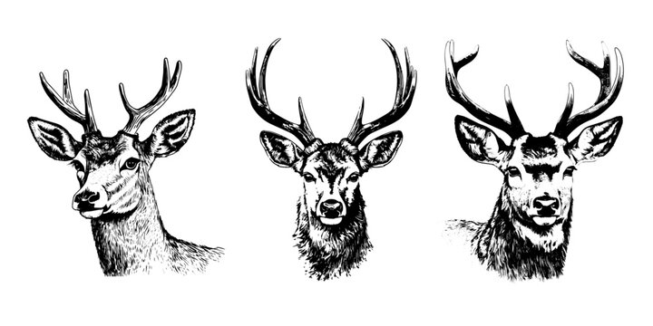 tattoo ideas for hunters 0080