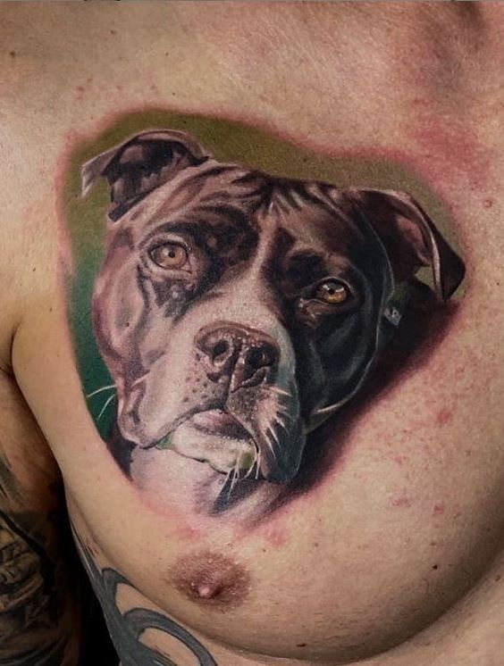 tattoo ideas for silver lab dog 0035