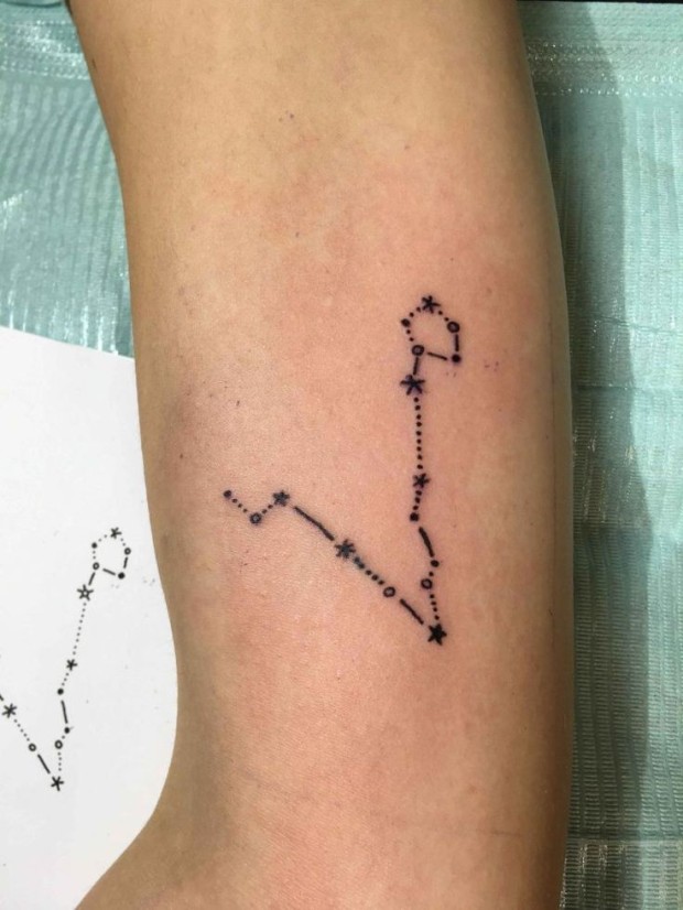 tattoo ideas for zodiac signs 0099