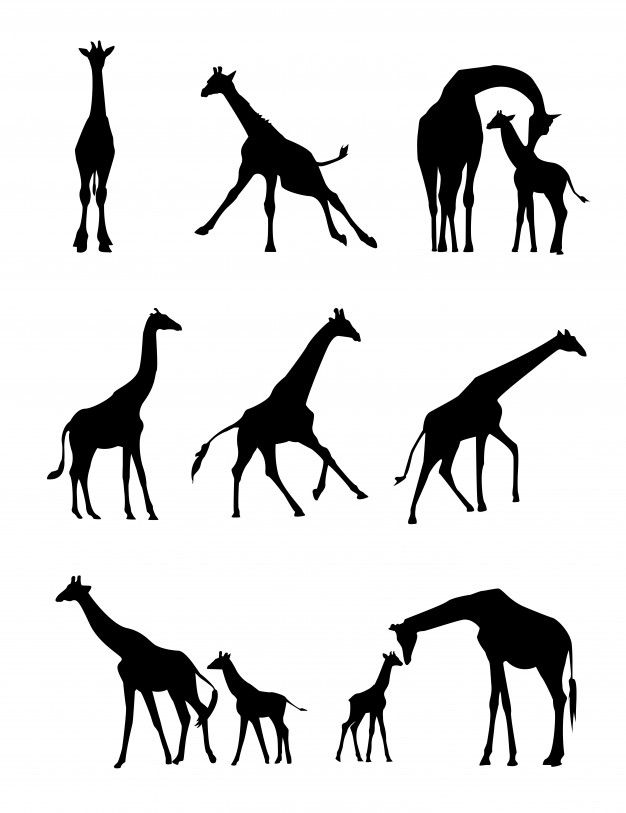 tattoo ideas giraffe 0097