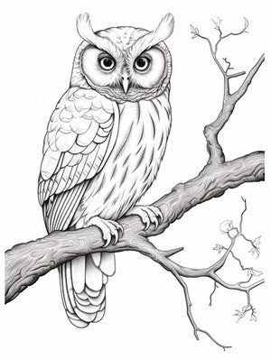 tattoo ideas owl 0044