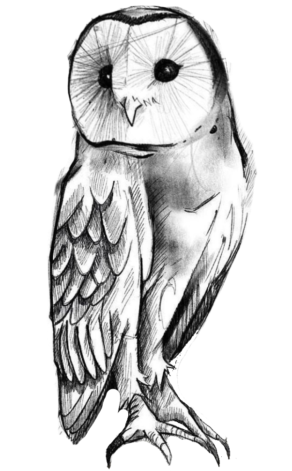 tattoo ideas owl 0048