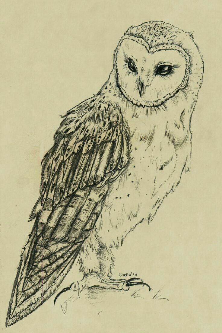 tattoo ideas owl 0069