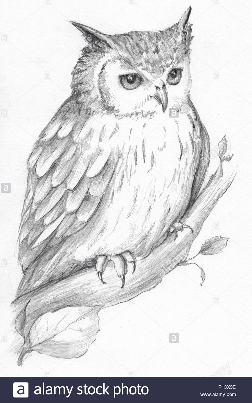 tattoo ideas owl 0076