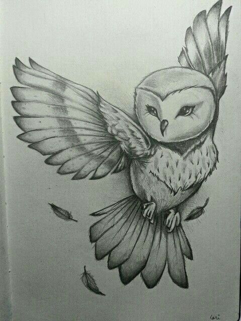 tattoo ideas owl 0077