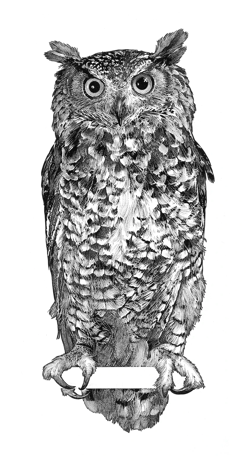 tattoo ideas owl 0087