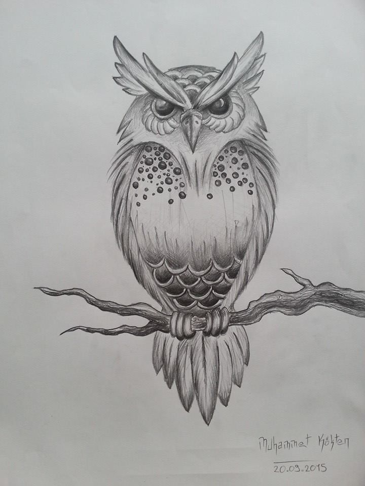 tattoo ideas owl 0091