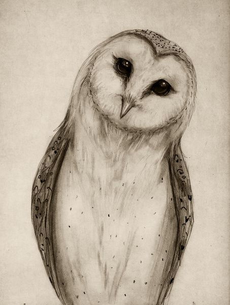 tattoo ideas owl 0099