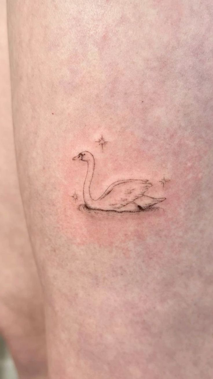 tattoo ideas swan 0011