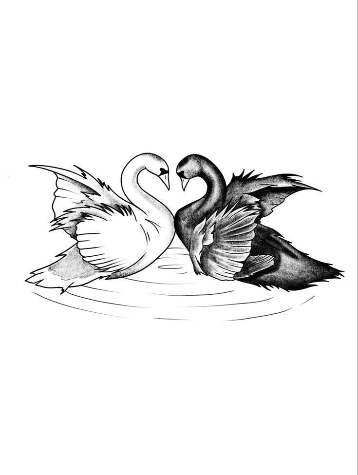 tattoo ideas swan 0021