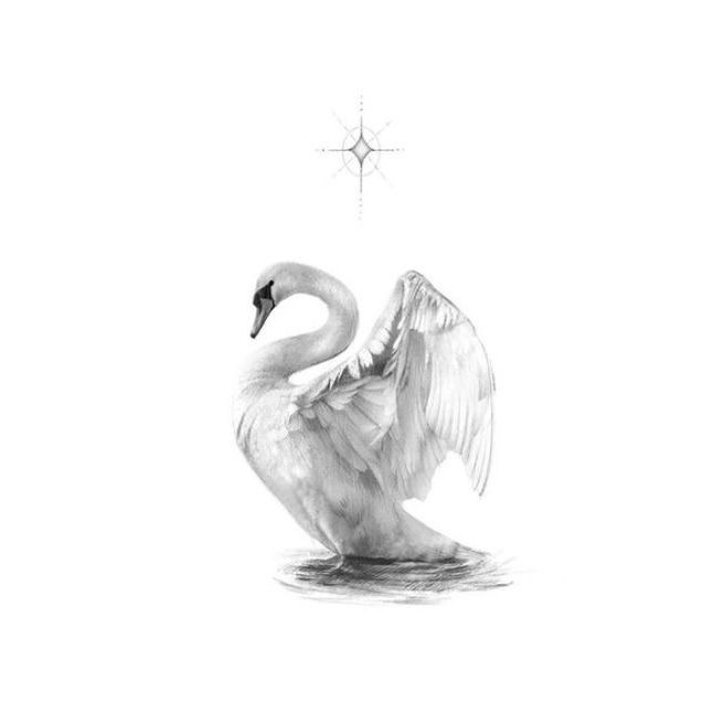 tattoo ideas swan 0025