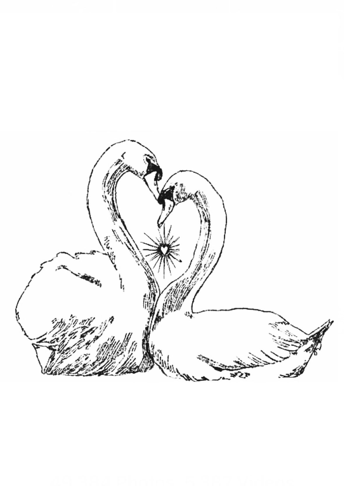 tattoo ideas swan 0028