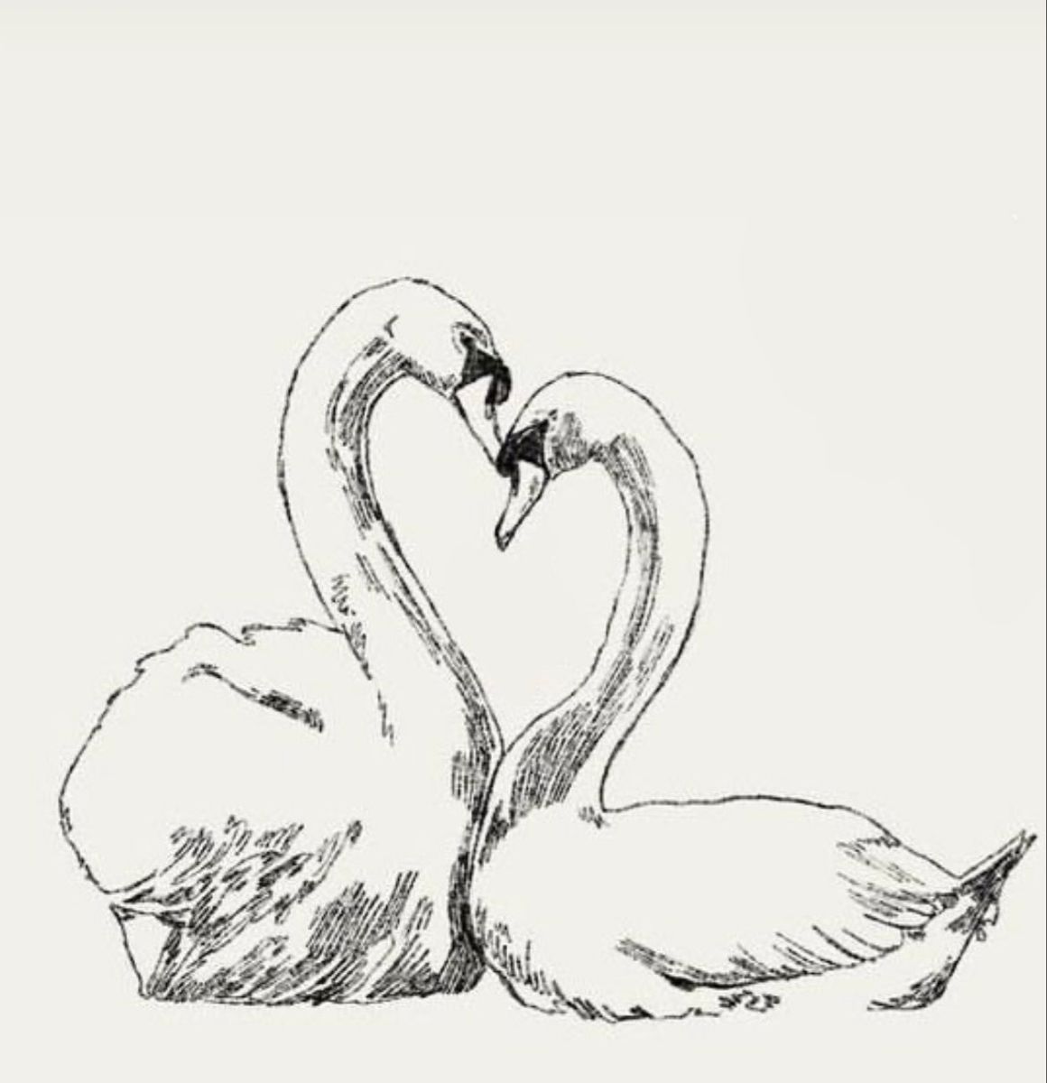 tattoo ideas swan 0030