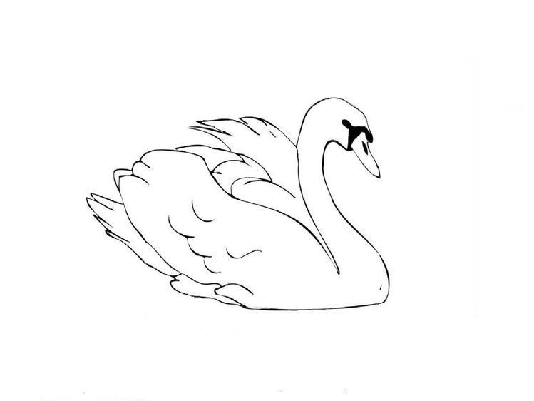 tattoo ideas swan 0039