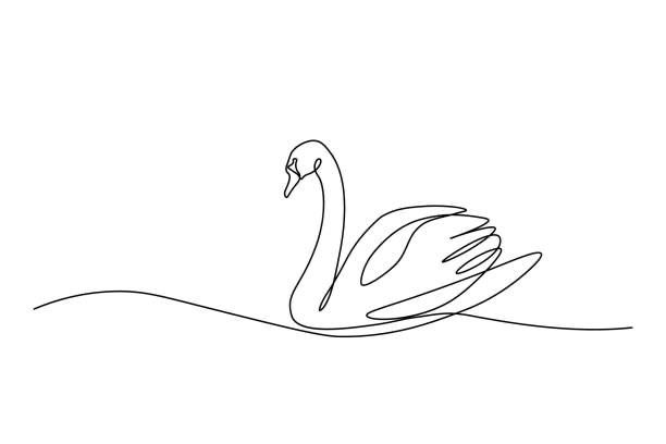 tattoo ideas swan 0057