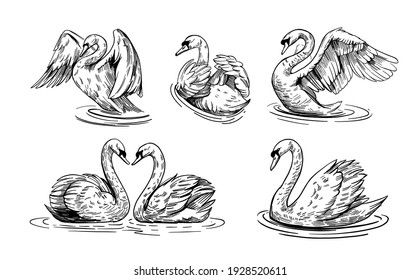 tattoo ideas swan 0059