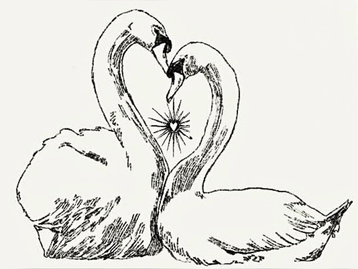 tattoo ideas swan 0068