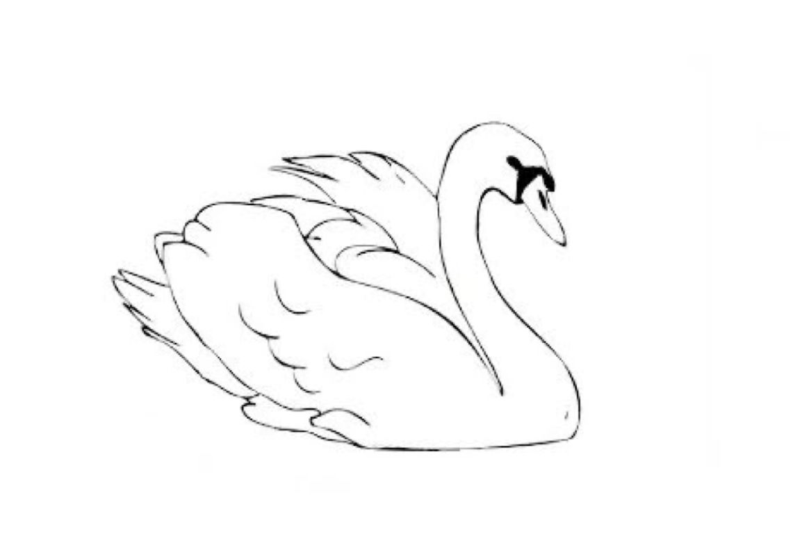 tattoo ideas swan 0069