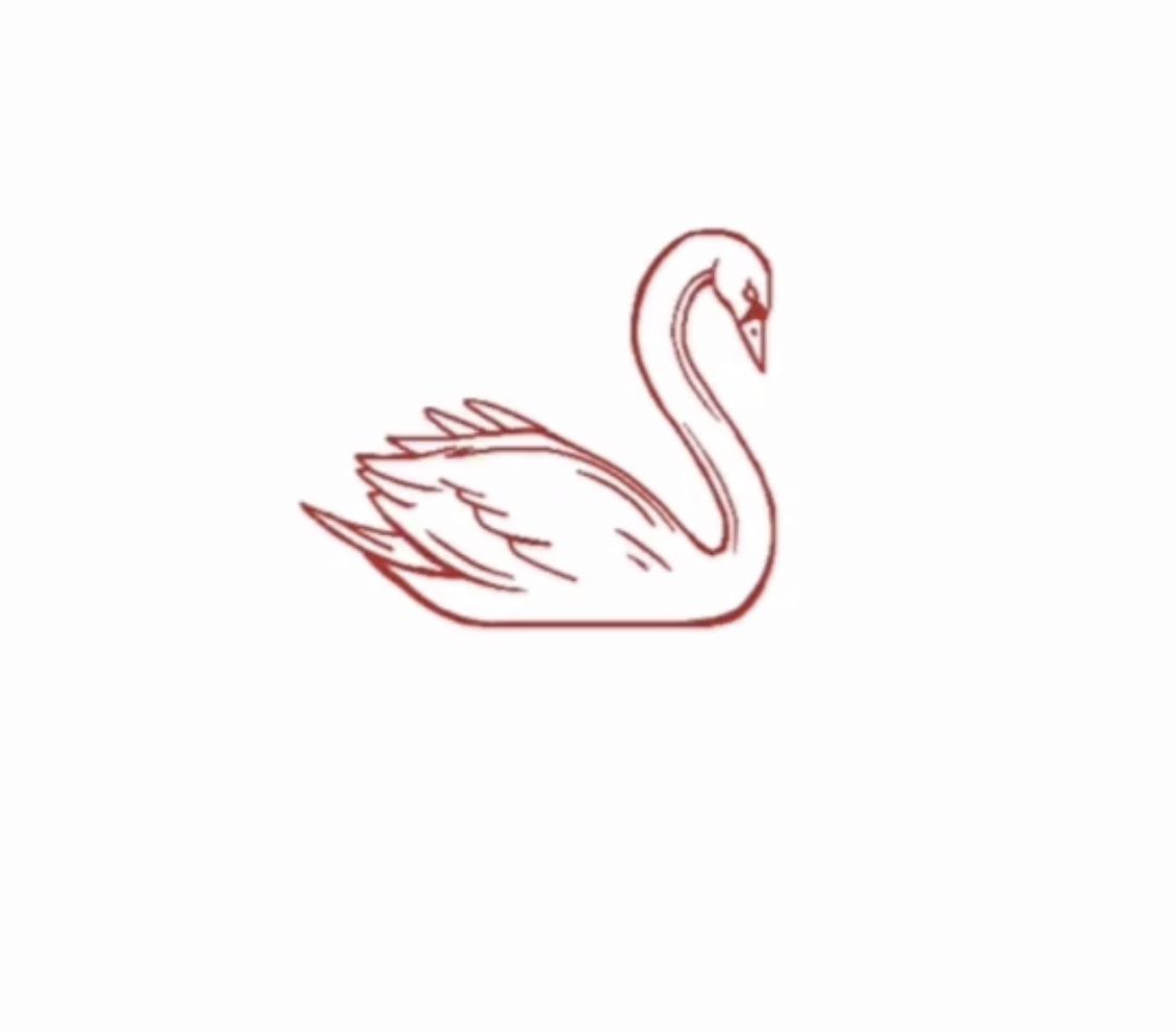 tattoo ideas swan 0070