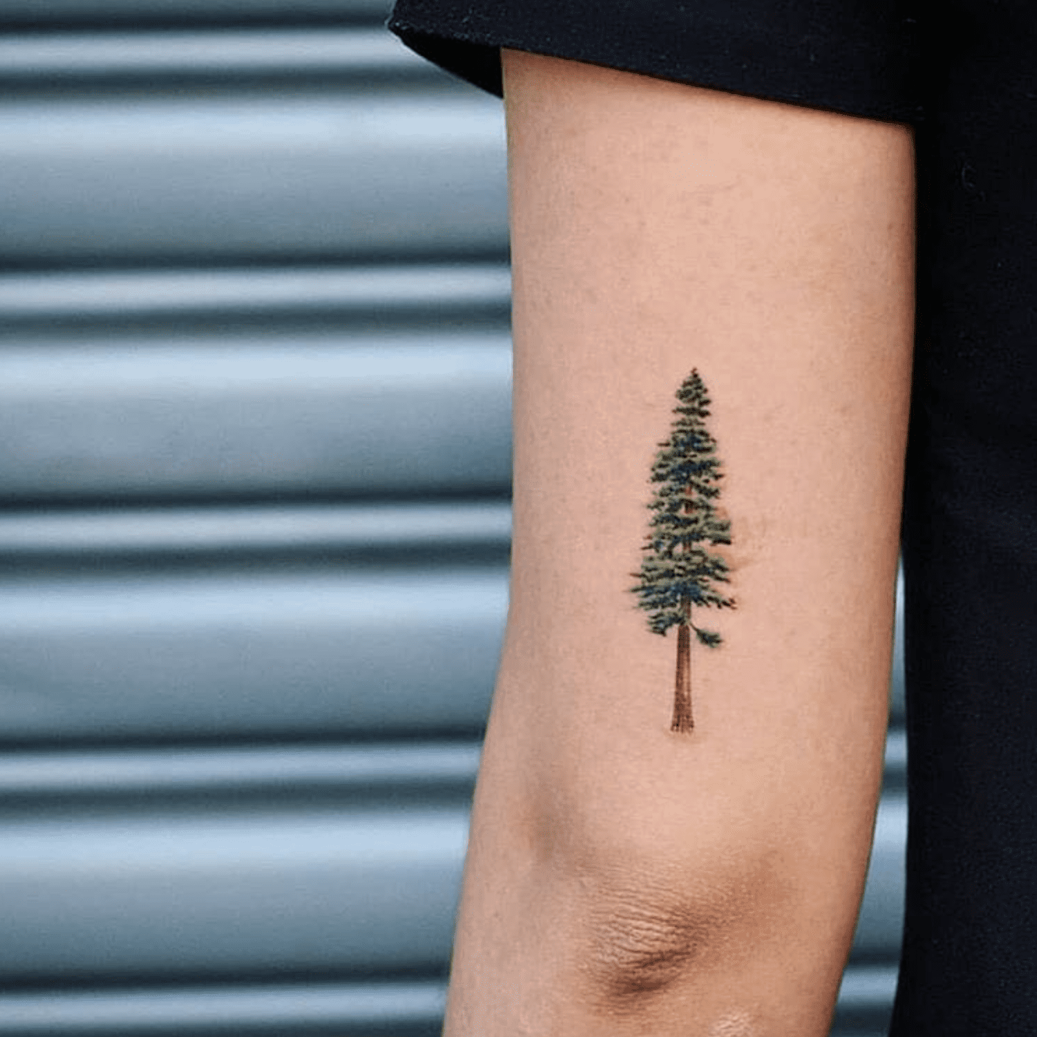 tattoo ideas tree 0054