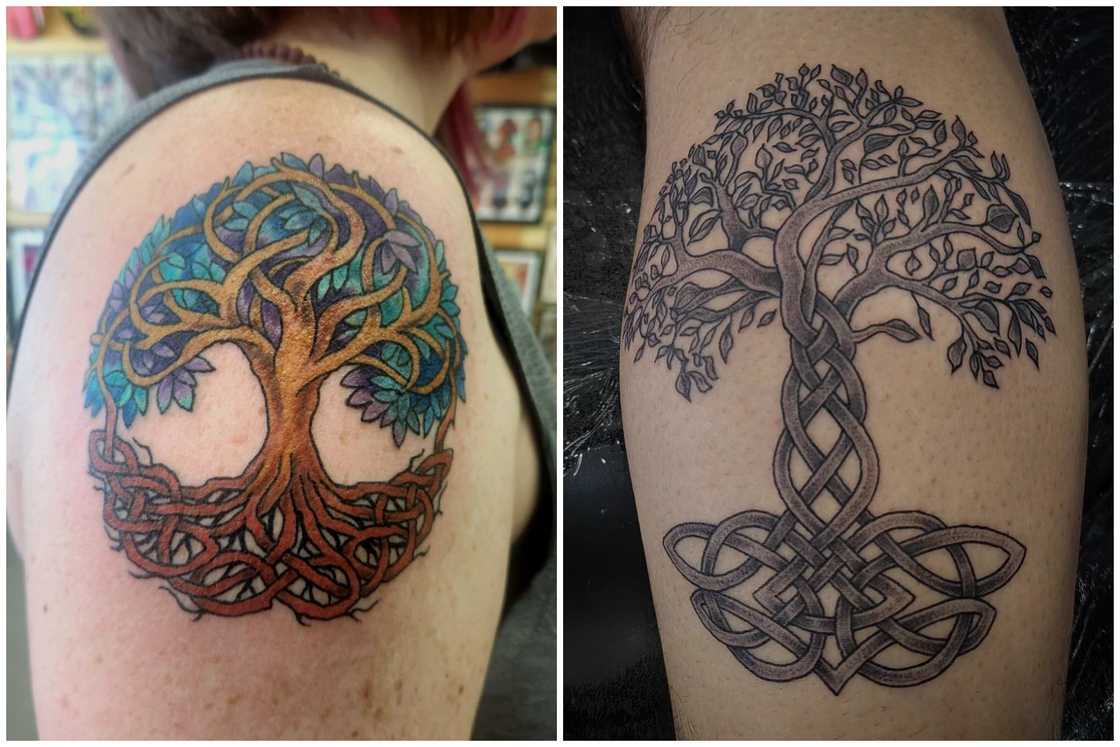 tattoo ideas tree 0064