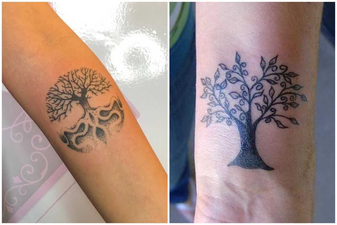 tattoo ideas tree 0080