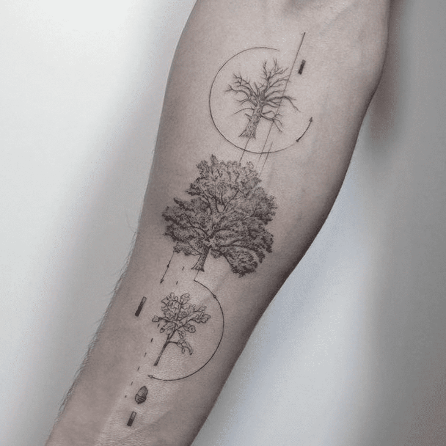 tattoo ideas tree 0092