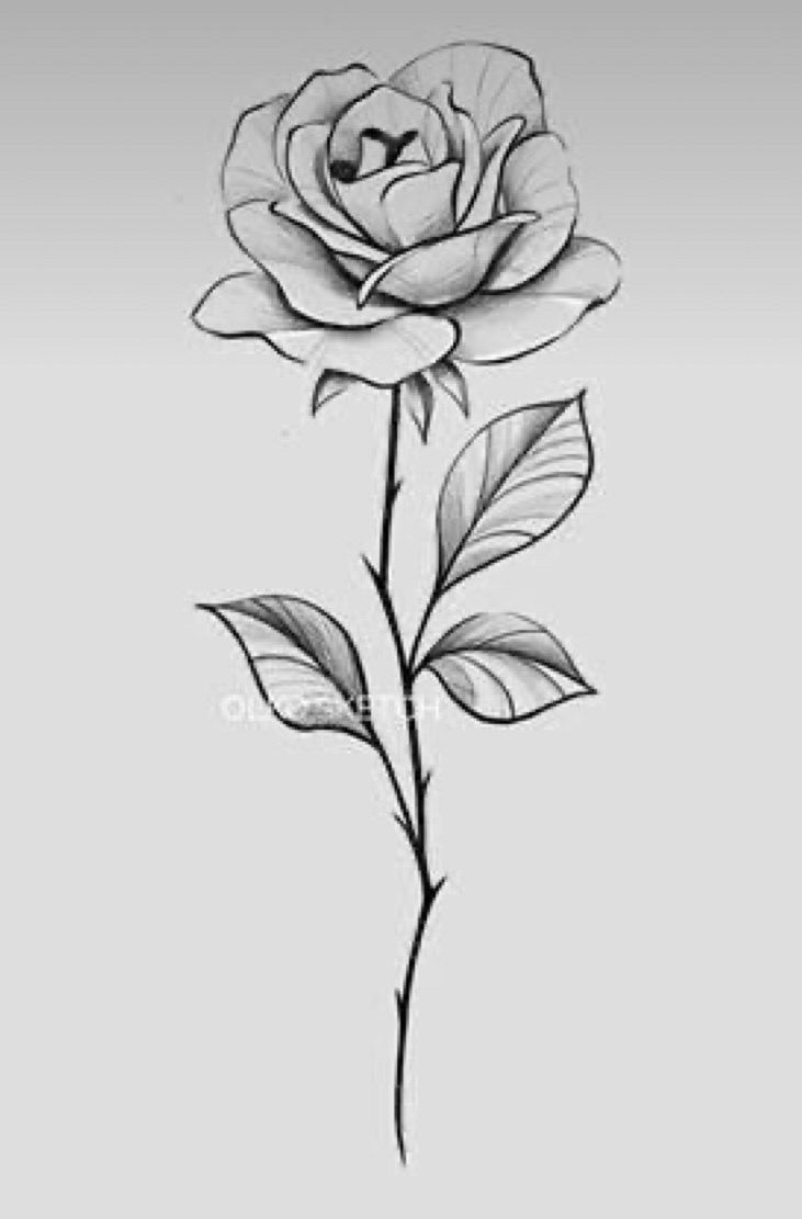 tattoo small rose drawing