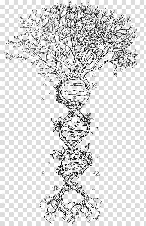 tree of life tattoo ideas 0059