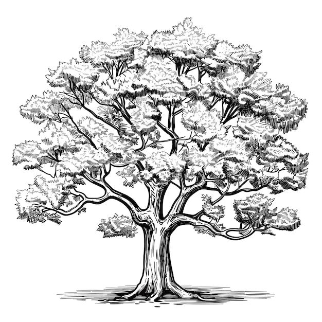 tree of life tattoo ideas 0093