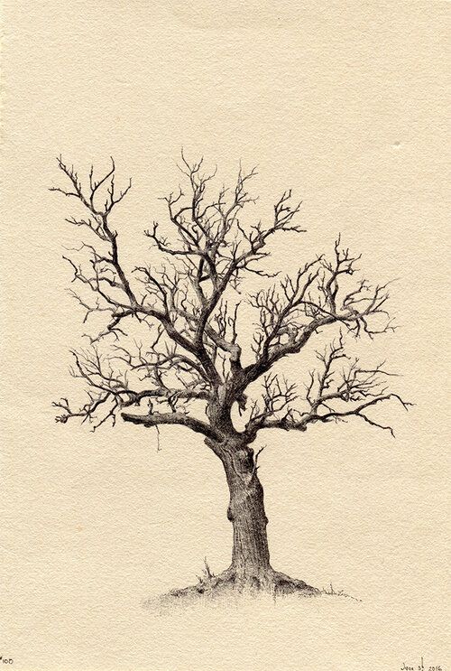 tree tattoo ideas 0014