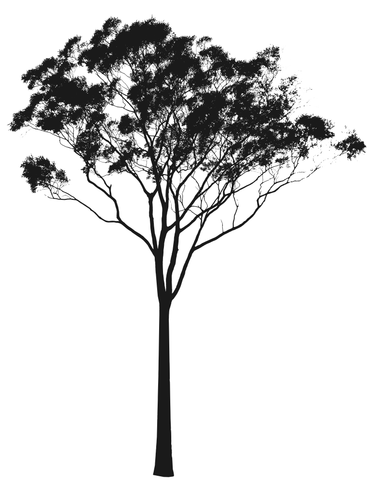 tree tattoo ideas 0025