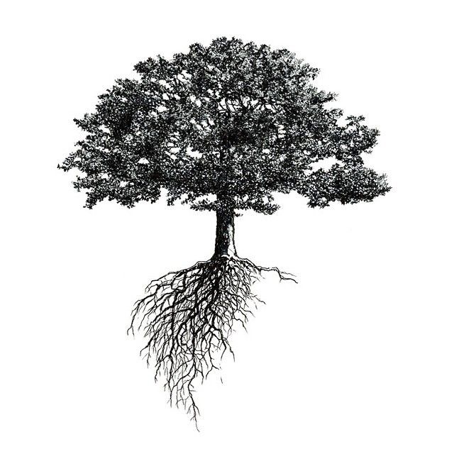 tree tattoo ideas 0031