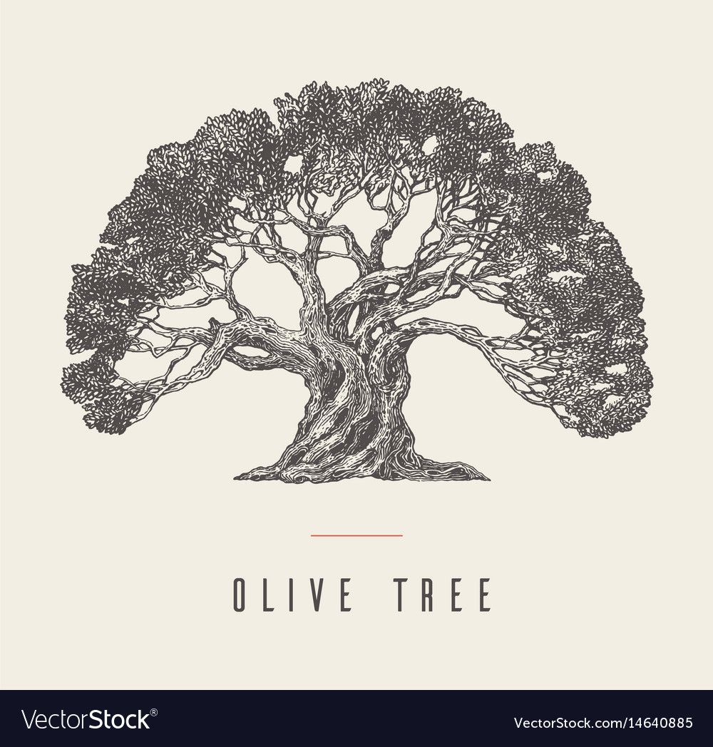 tree tattoo ideas 0049