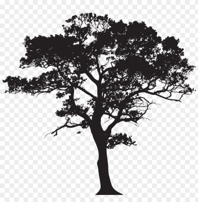 tree tattoo ideas 0054