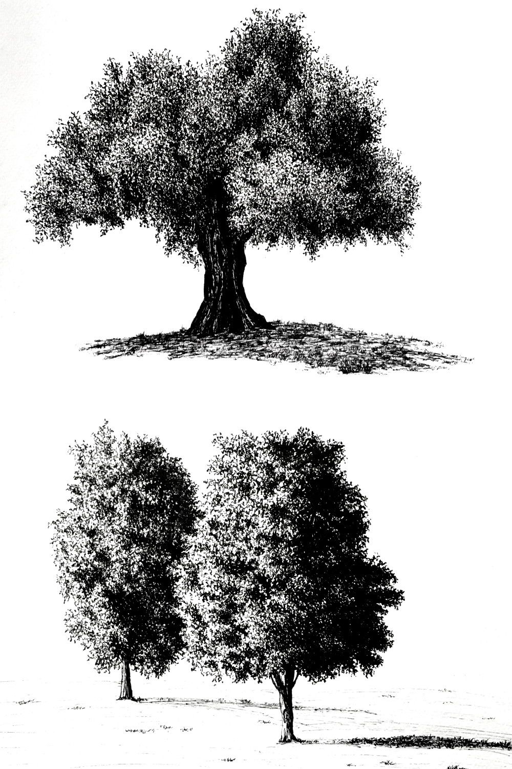 tree tattoo ideas 0061