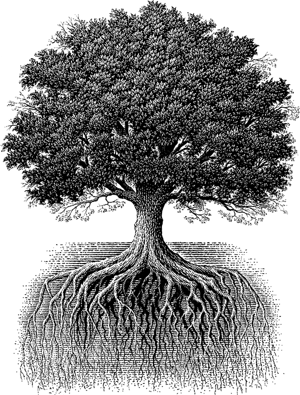 tree tattoo ideas 0063