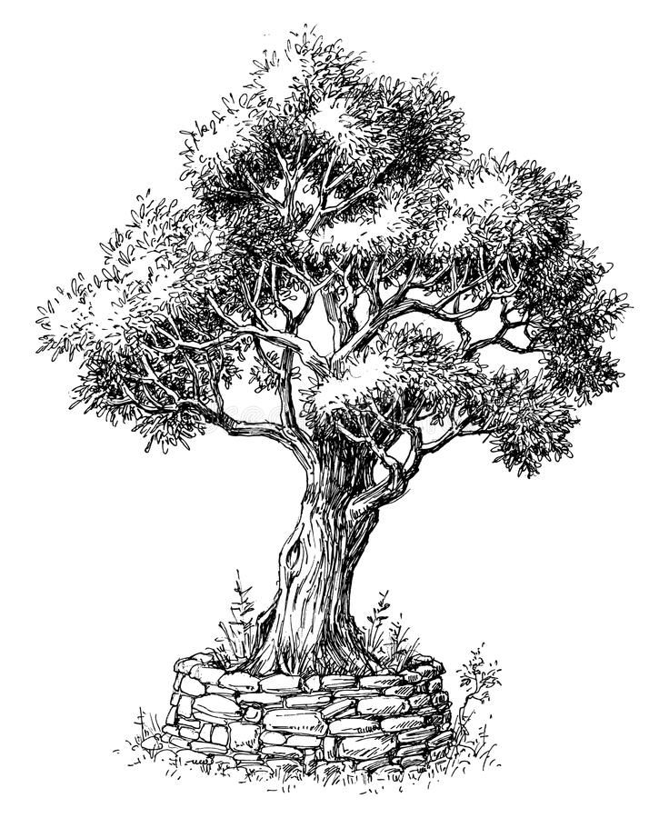 tree tattoo ideas 0079