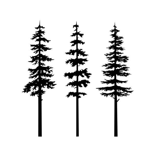 tree tattoo ideas 0089