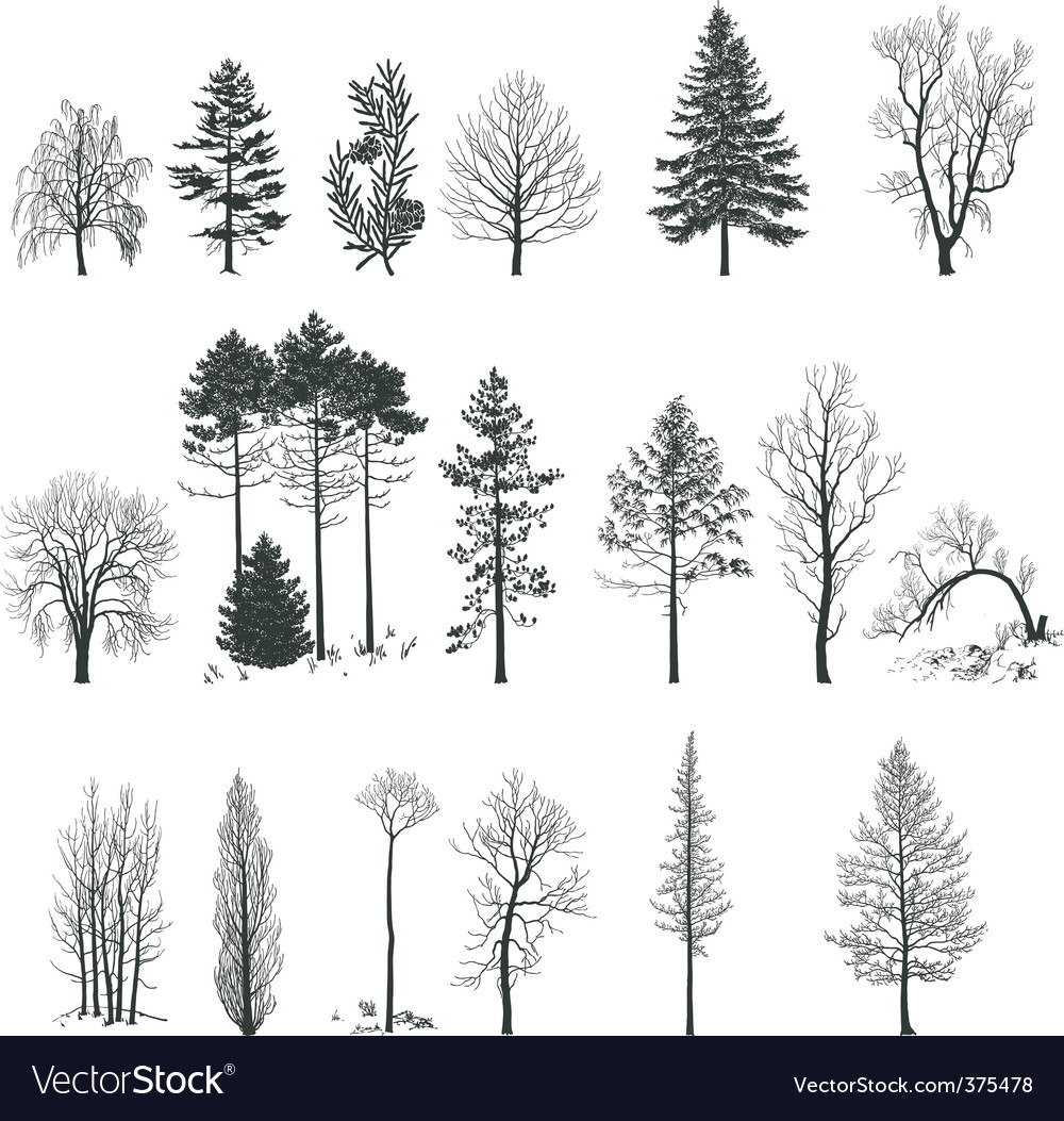 tree tattoo ideas 0091