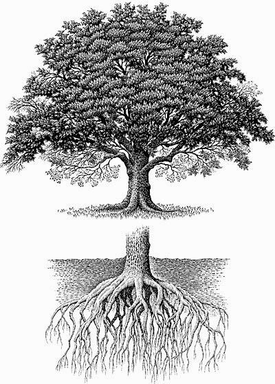 tree tattoo ideas 0093