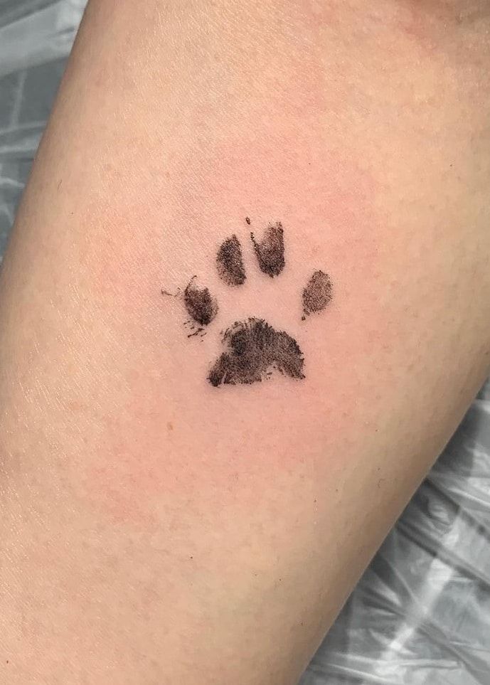 unique cat tattoo ideas