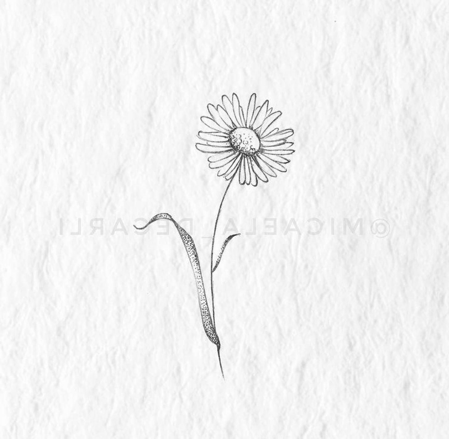 unique daisy tattoo options