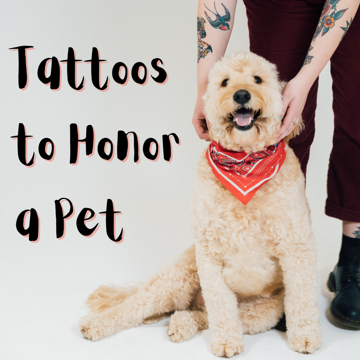 unique pet memorial tattoo ideas