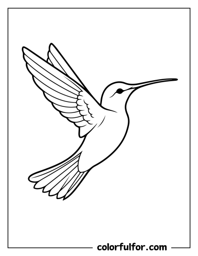 vibrant hummingbird tattoo ideas