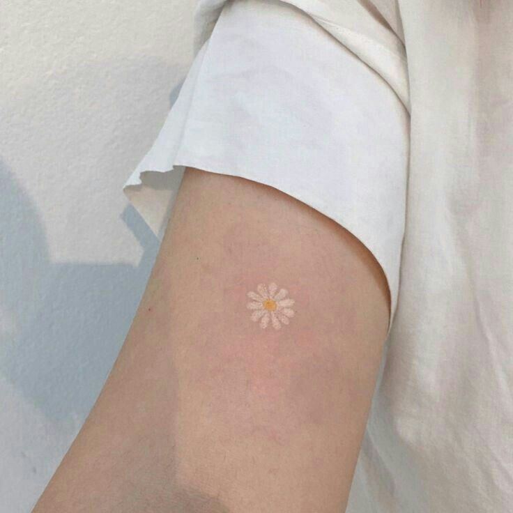 vibrant small daisy tattoo inspirations