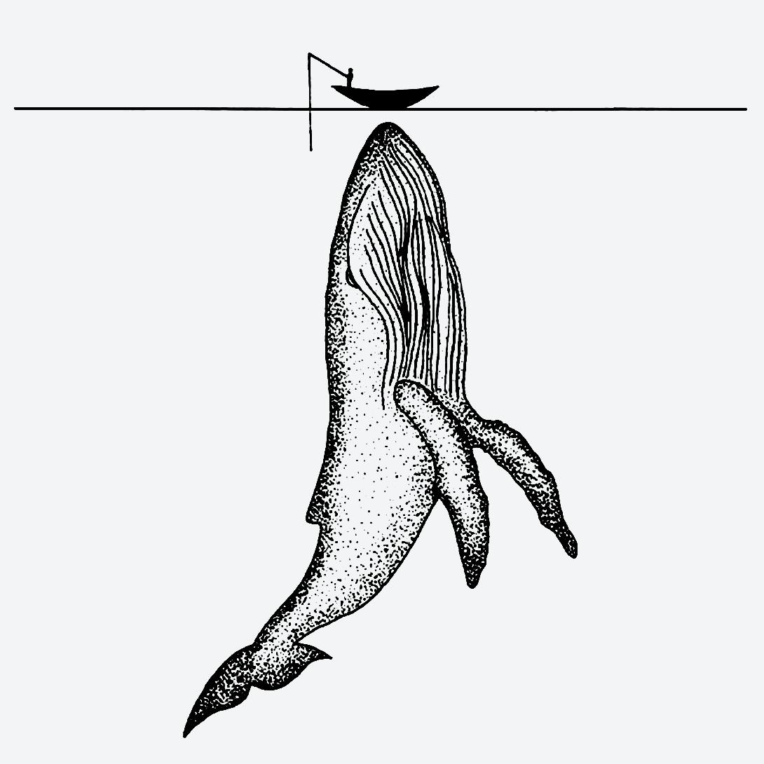 Whale Tattoo Ideas 0047