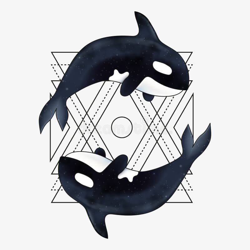 Whale Tattoo Ideas 0081