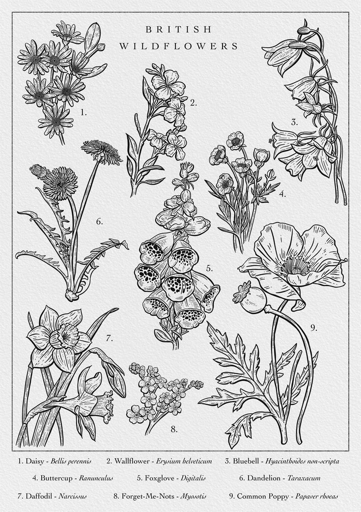 wildflower tattoo ideas 0092